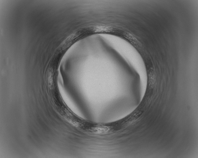 X0000078840215200612041848