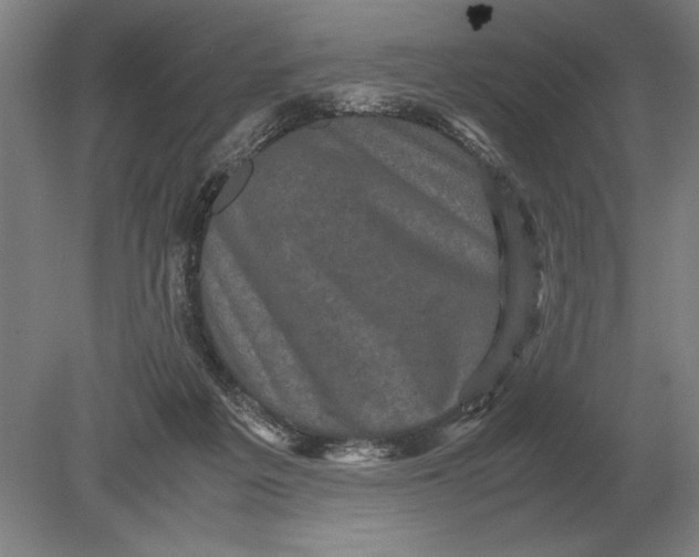 X0000078840217200612041848