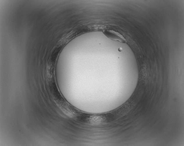 X0000078840218200612041848