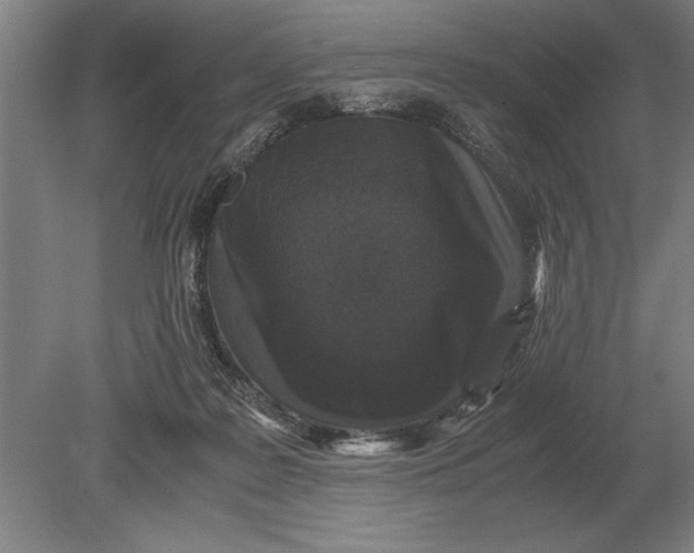 X0000078840219200612041848