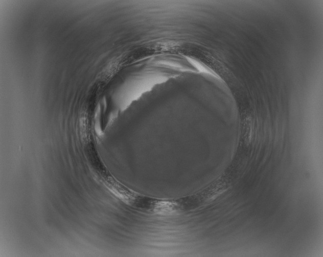 X0000078840222200612041848