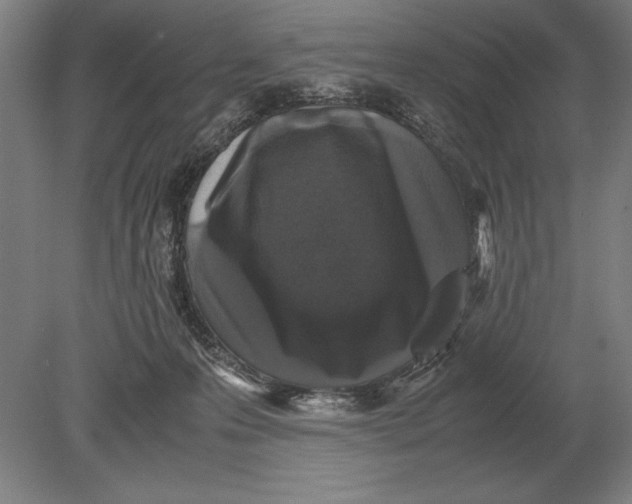 X0000078840223200612041848