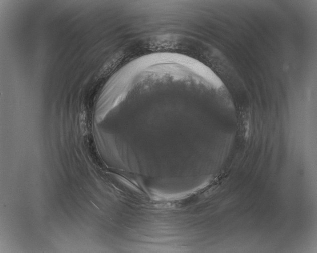 X0000078840224200612041848