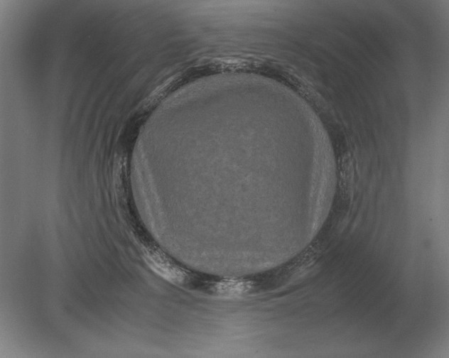 X0000078840225200612041848