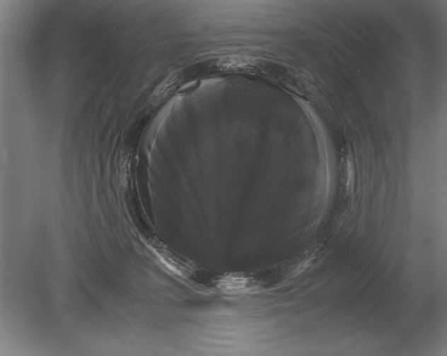 X0000078840227200612041848