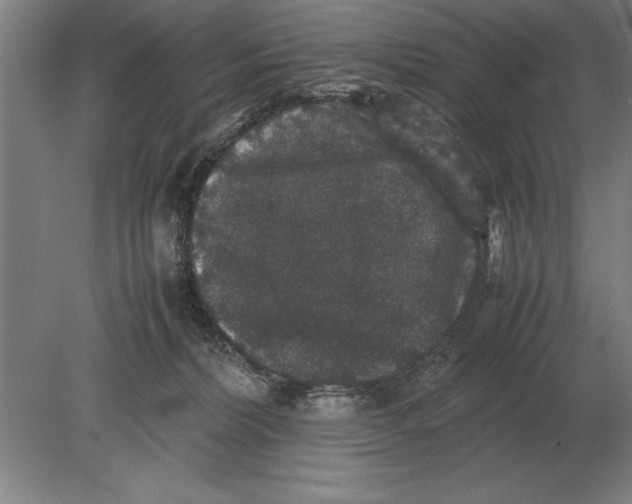 X0000078840228200612041848