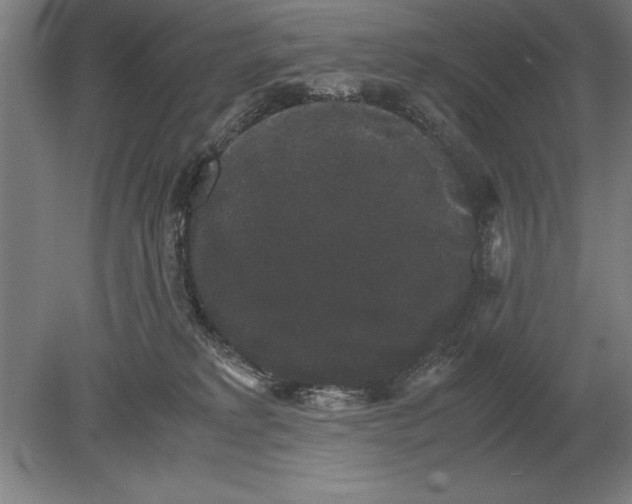 X0000078840229200612041848