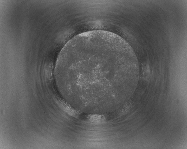 X0000078840230200612041847