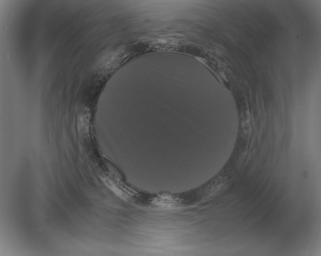 X0000078840231200612041847