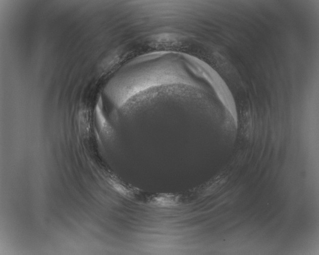 X0000078840232200612041847