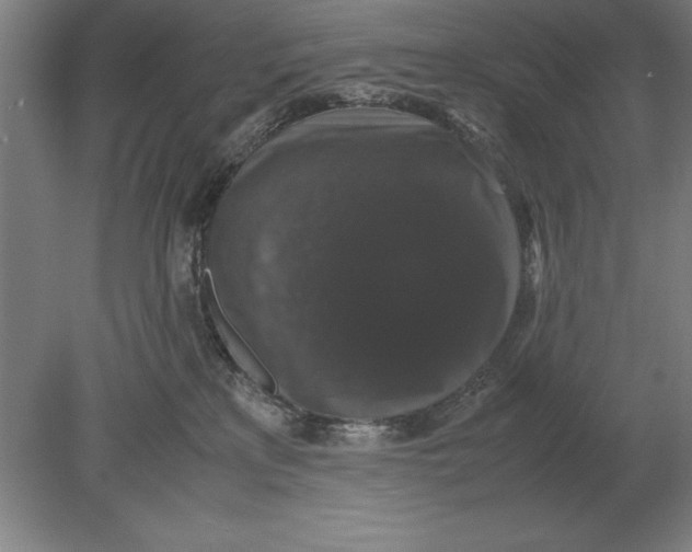 X0000078840233200612041847