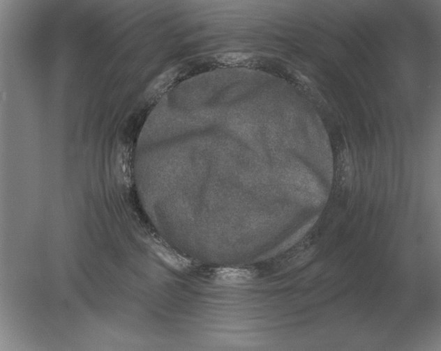 X0000078840234200612041847