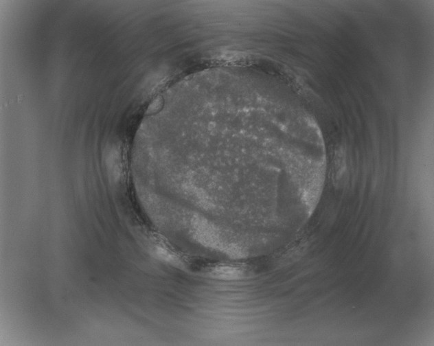 X0000078840236200612041847