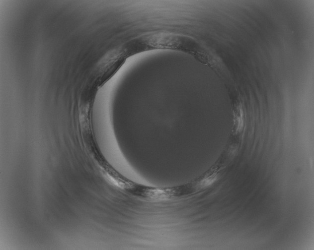 X0000078840239200612041847