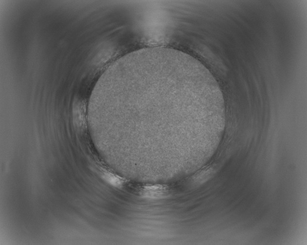 X0000078840240200612041847