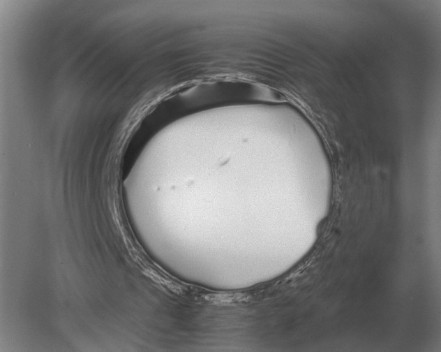 X0000078840241200612041847