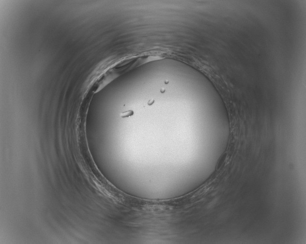 X0000078840242200612041847