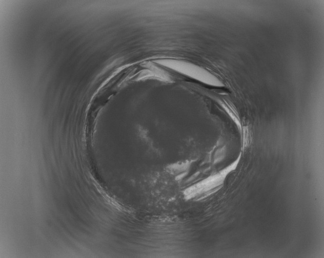 X0000078840243200612041847