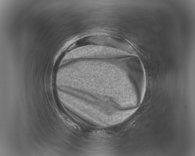 X0000078840244200612041847