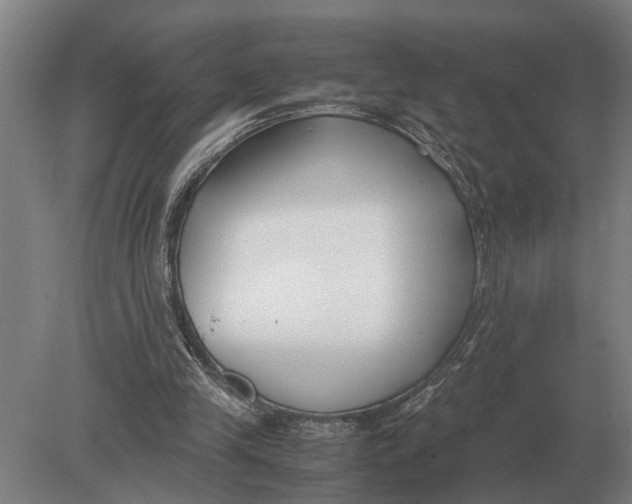 X0000078840245200612041847