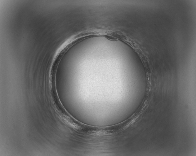 X0000078840246200612041847