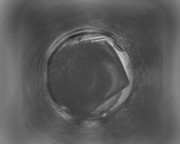 X0000078840247200612041847