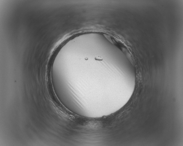 X0000078840248200612041847