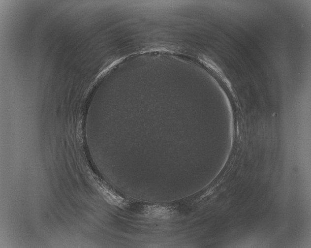 X0000078840249200612041847