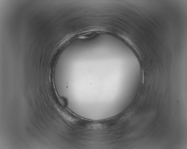 X0000078840253200612041847