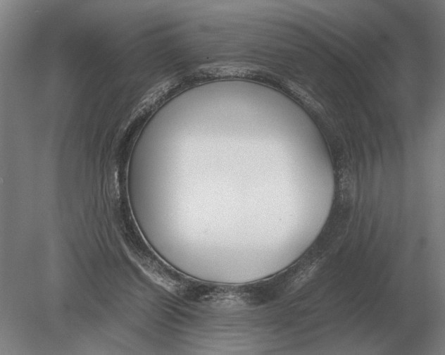 X0000078840254200612041847