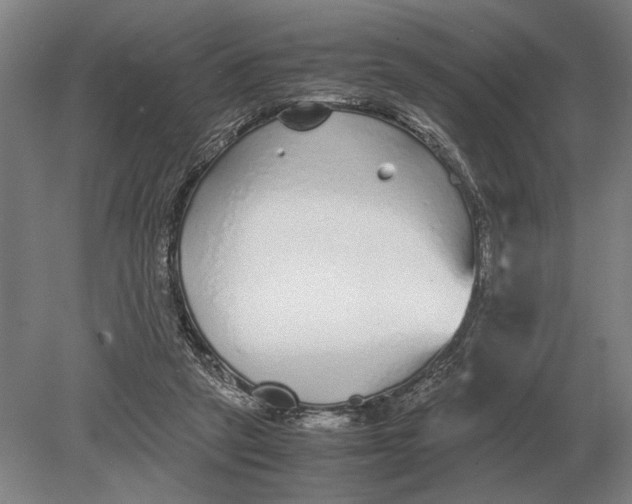 X0000078840257200612041847