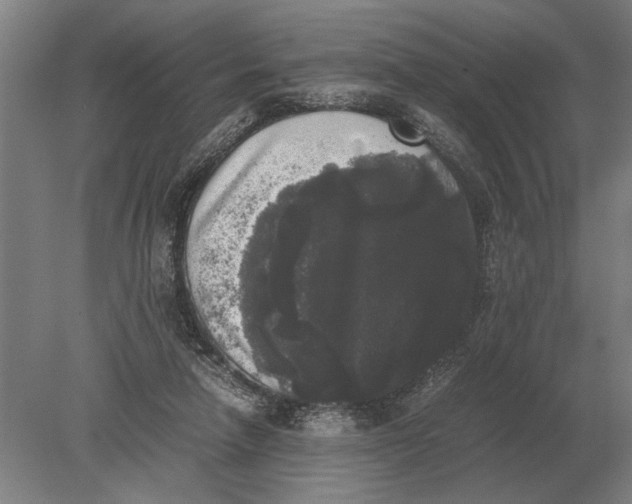 X0000078840258200612041847