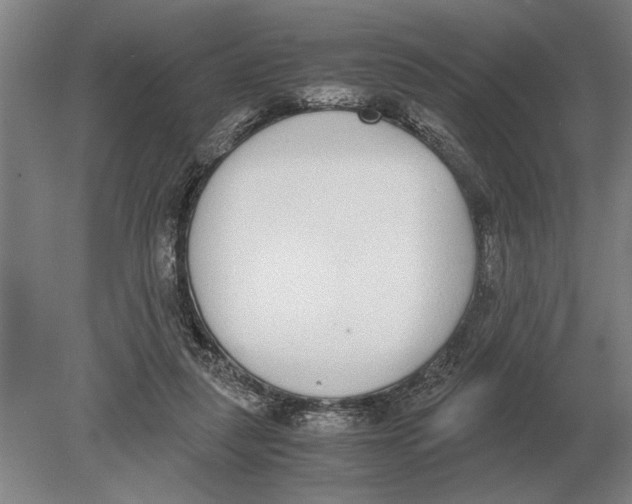 X0000078840259200612041847