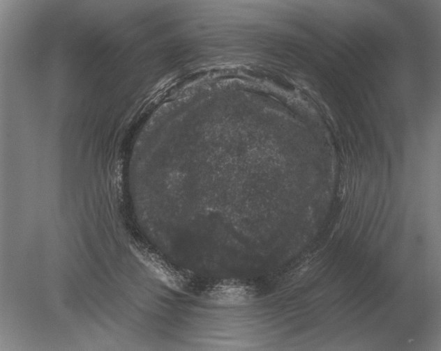 X0000078840260200612041847