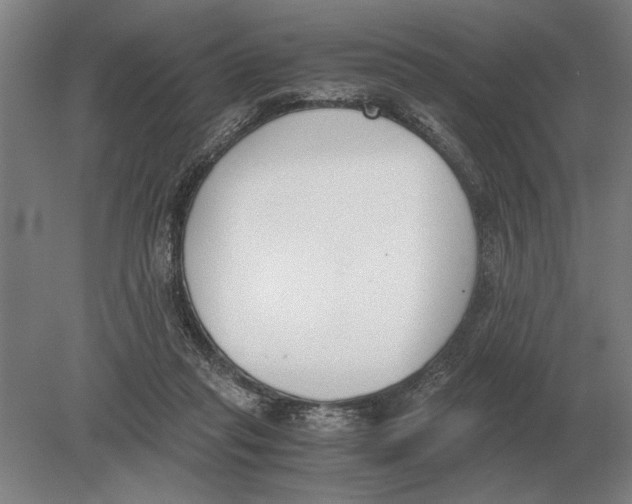 X0000078840261200612041847