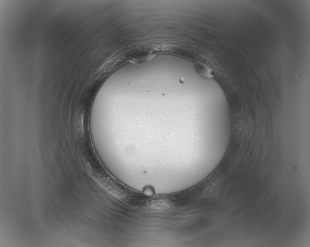 X0000078840262200612041847