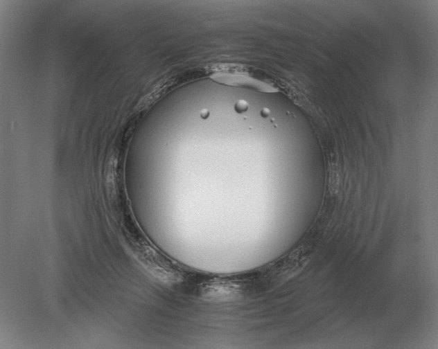 X0000078840263200612041847