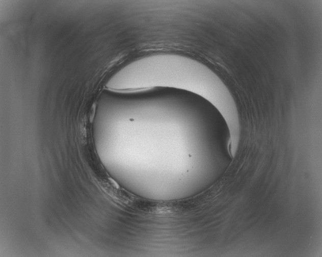 X0000078840264200612041847