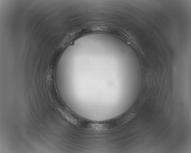 X0000078840265200612041847