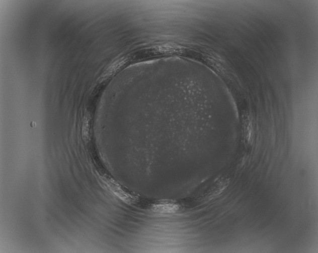 X0000078840266200612041847