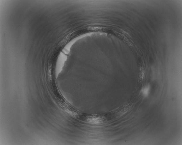 X0000078840267200612041847