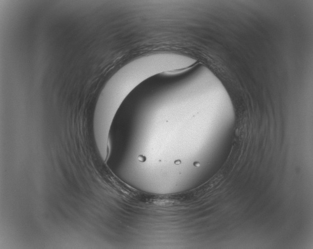 X0000078840268200612041847