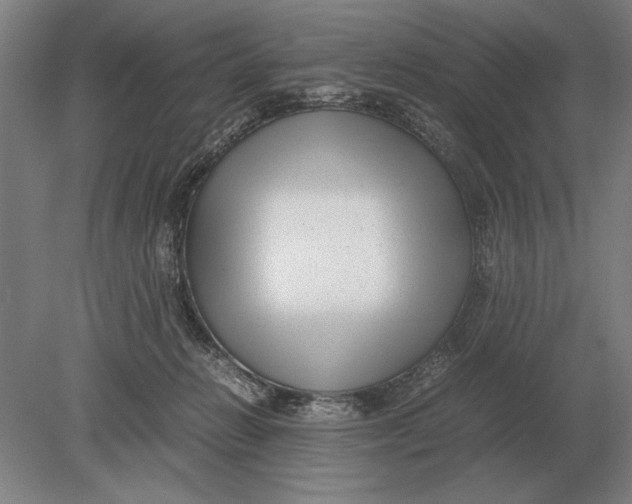 X0000078840270200612041847