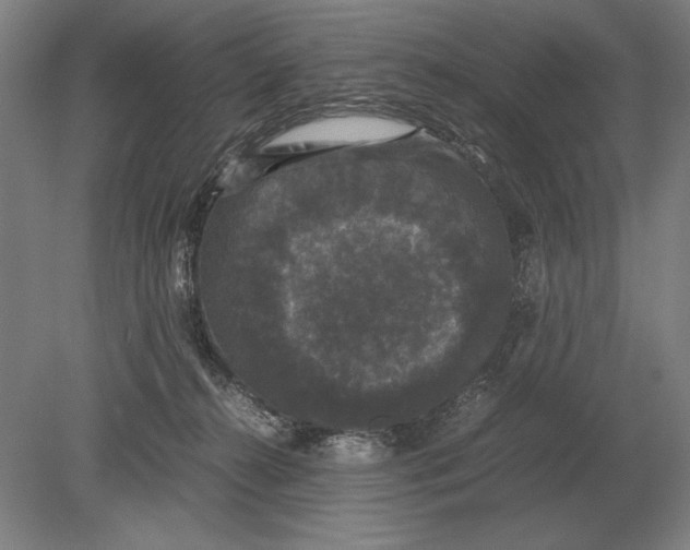 X0000078840272200612041847