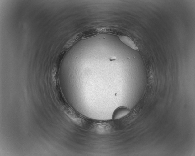 X0000078840275200612041847