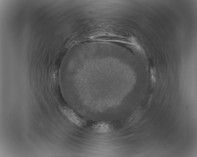 X0000078840276200612041847