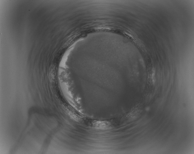 X0000078840277200612041847