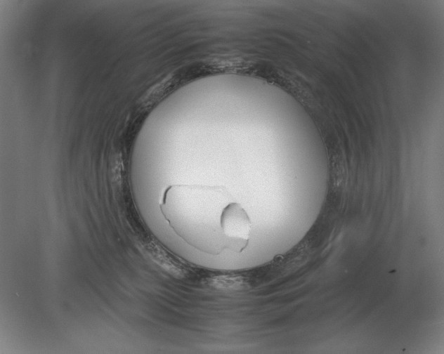 X0000078840279200612041847