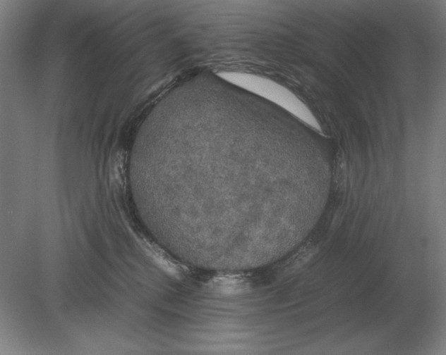 X0000078840280200612041847