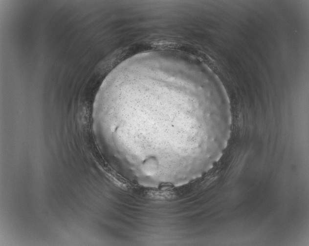 X0000078840281200612041847